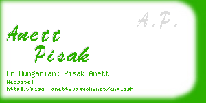 anett pisak business card